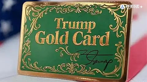 trump gold card