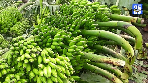 Banana
