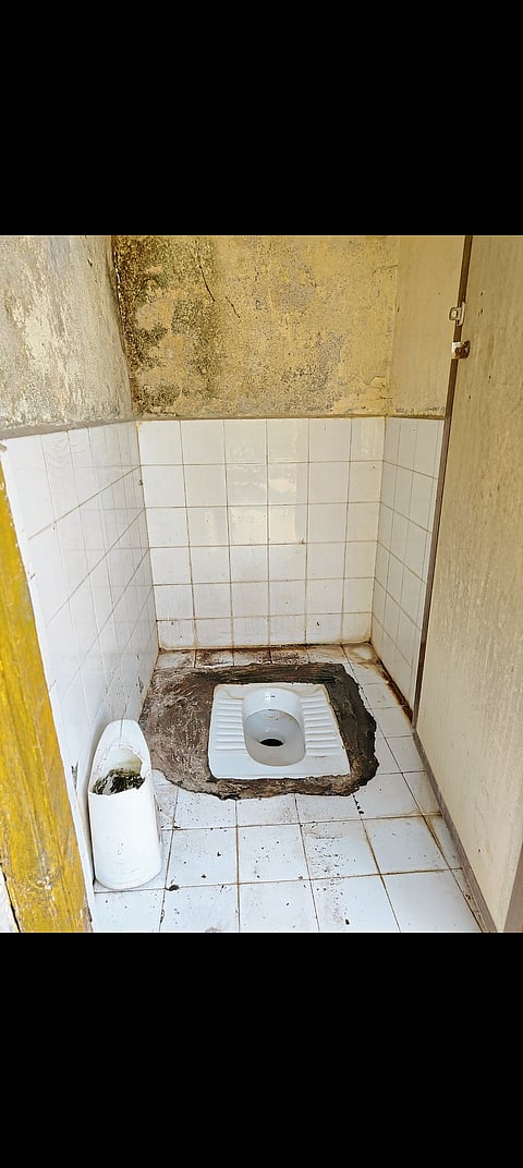 उद्योगनगर उद्यानात साफसफाईचा अभाव