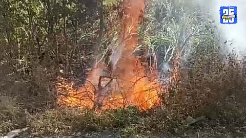 Pomegranate Farm Fire