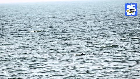 Malvan Sea