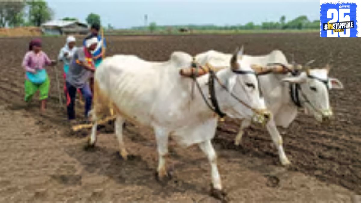 "Farmers celebrate the extension of the water tax payment deadline until March 20, providing them more time to complete payments."