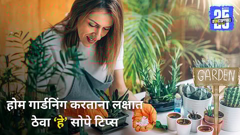 Summer Home Gardening Tips