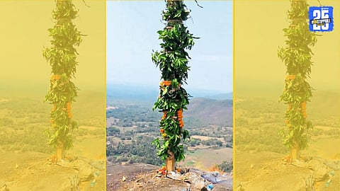 suvarda Mountain holi festival