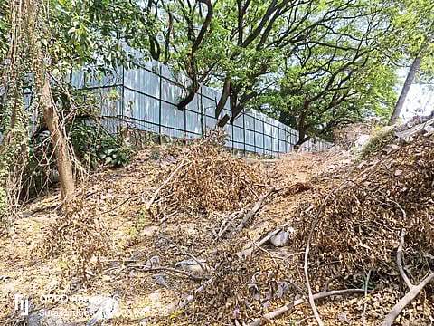 ‘आंबिल ओढा’ सीमाभिंतीचा प्रश्‍न कायम