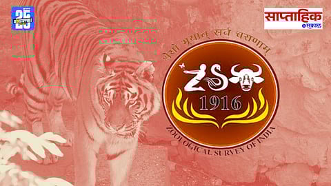 Species Conservation