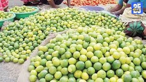 Lemon Price Fall