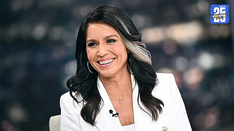 tulsi gabbard