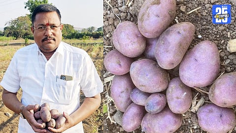 Shantaram Thorat with Blue Potato