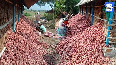 Onion Farming
