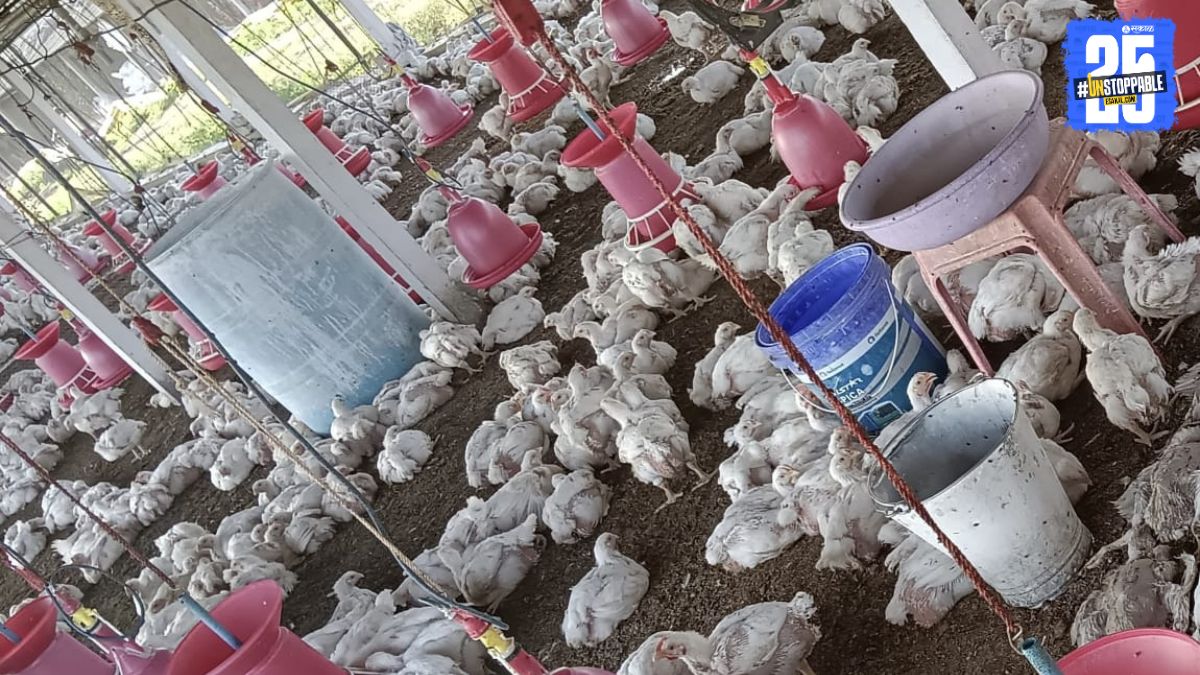 Agricultural Business