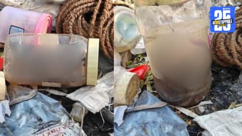 दौंडमध्ये सापडलेलं 'ते' अर्भक पाच वर्षांपूर्वीचं! कुणी केलं होतं जतन? आरोग्‍य विभागाच्‍या चौकशी अहवालातून महत्त्वाची माहिती