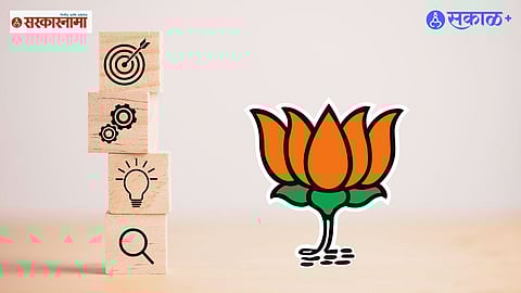 BJP's Election Strategy