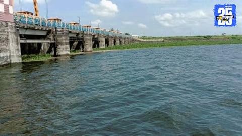 Maharashtra Water Levels