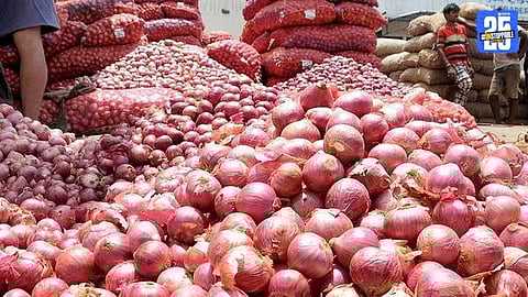 Onion Exports