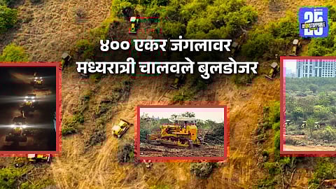 hyderabad forest tree cutting