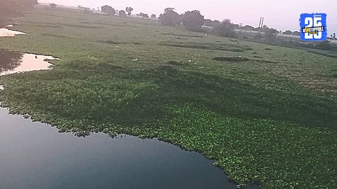 Godavari River 