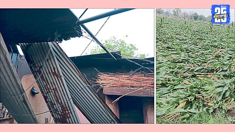 loss by unseasonal rain