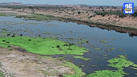 Wardha and Wainganga Rivers Choke in Pollution