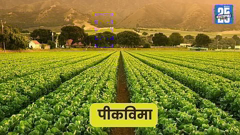 Agricultural News 