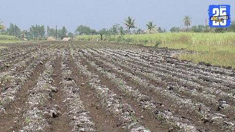 Save The Soil 