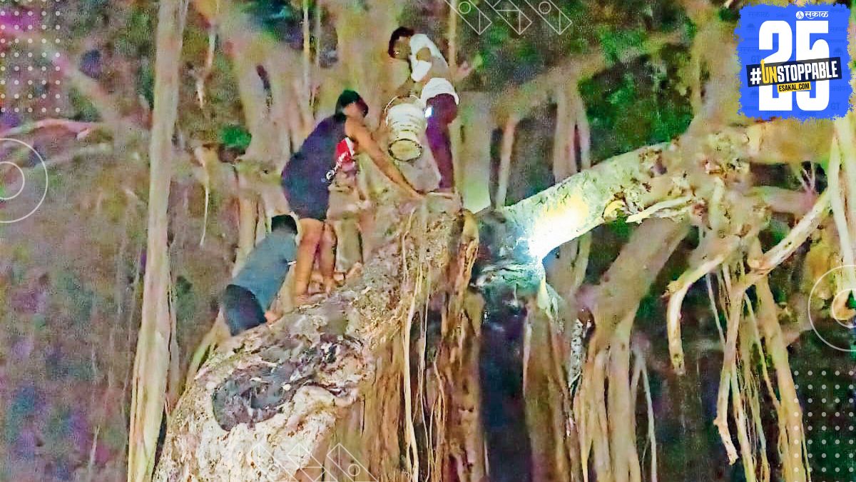 Villagers risking everything to save a 150-year-old banyan tree in Manchyachiwadi, accidentally grabbing a snake thinking it was a root.