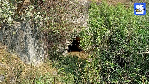 Sugar Mills Polluting Krishna River