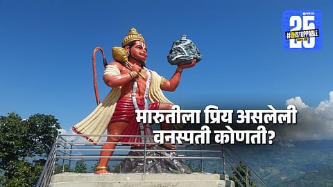 Hanuman Favorite Plant: