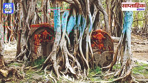 Preserving Sacred Groves