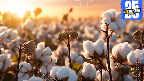 CAI estimates cotton production at 291 lakh bales this season—imports expected to double due to domestic shortfall.
