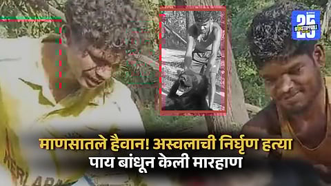 Bear Brutally Beaten