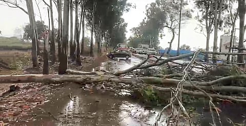 पिंपळगाव जोगाला अवकाळीने झोडपले