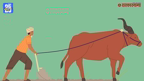 New Path for Farming