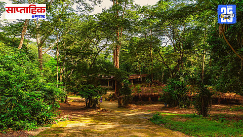 sacred groves in maharashtra 