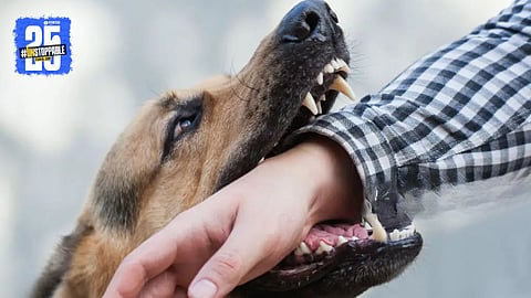 Dog Bite