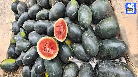 Watermelon Demand