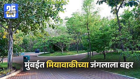 Miyawaki Forest Development in Mumbai with 6 Lakh Trees
