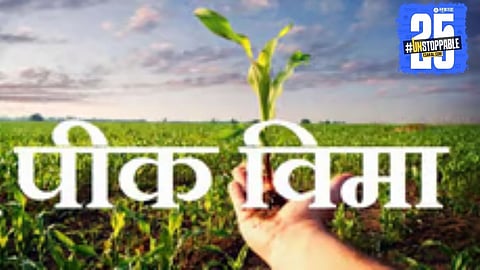 Solapur farmers to receive ₹282 crore crop insurance relief under PMFBY scheme"