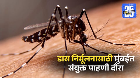 Joint Inspection To Identify Mosquito Breeding Sites in City