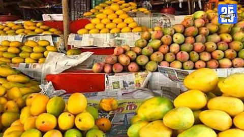  Badami mango
