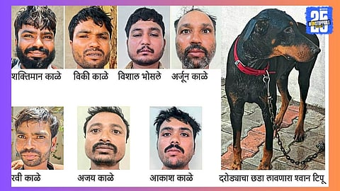 criminal arrested