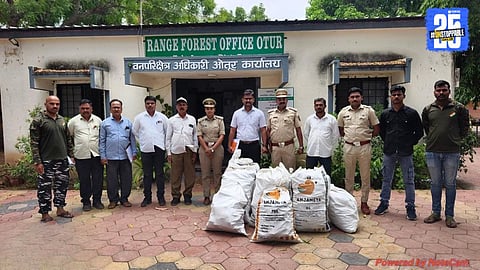 Sandalwood Seizure