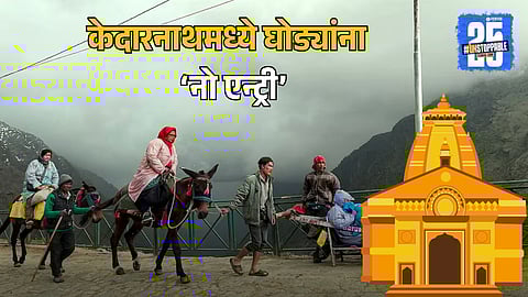 Kedarnath Horse Ban