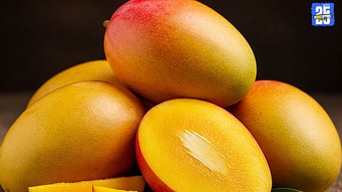 Mango Season
