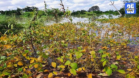 agriculture loss by rain