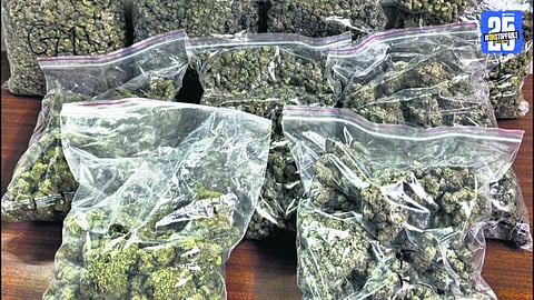 Police in Barshi seize ganja worth ₹1.40 crore after a thrilling vehicle chase; one arrested.