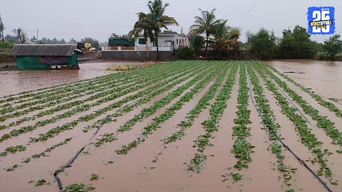Unseasonal Rain in nirgudsar area