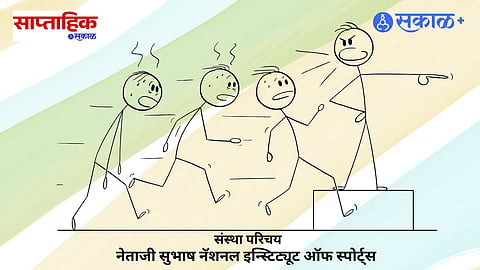 career in sports teaching