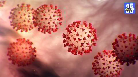 coronavirus