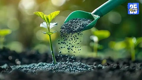 agriculture fertilizer